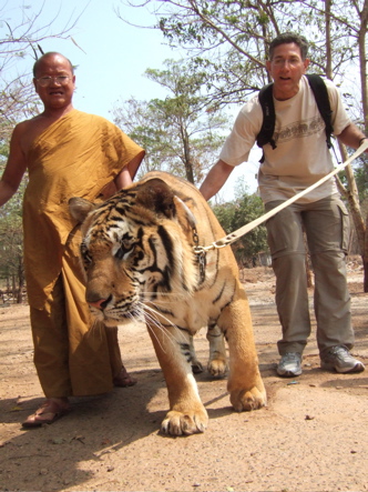 tiger with monk