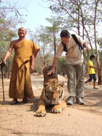 tiger with monk
